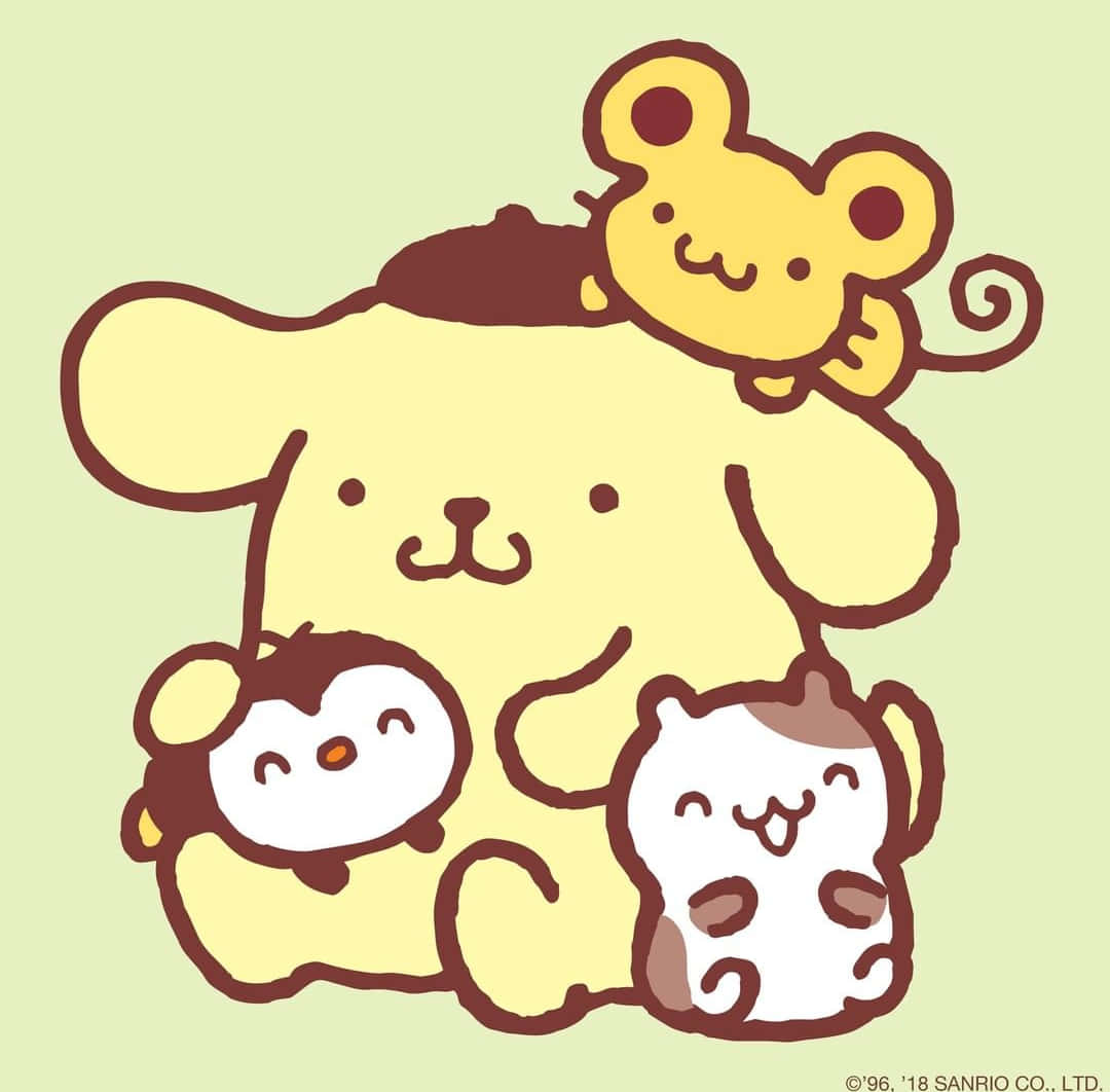Pom Pom Purin