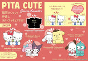 Sanrio Pair Figure Pitacute Blind Box