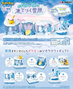 Pokemon Frozen Snow Field Rement