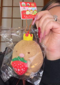 Tonkatsu Fukuoka Strawberry Plush Mascot