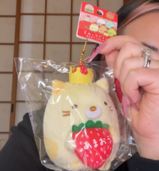 Neko Fukuoka Strawberry Plush Mascot