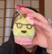 Sakura Penguin? Fukuoka Plush Mascot