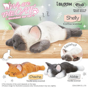 iBloom We Are The Cat Stretched Out Squishy