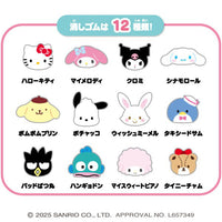 *Customizable* Sanrio Erasers Bottle Keychain
