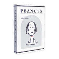 Snoopy Decor Book Storage Box
