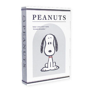 Snoopy Decor Book Storage Box