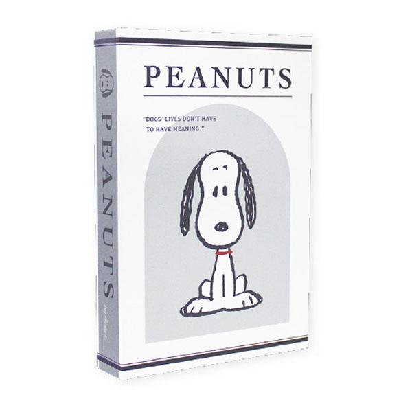 Snoopy Decor Book Storage Box