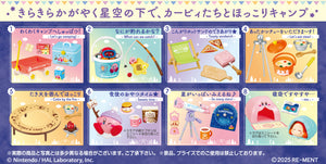 Kirby's Starry Sky Camp Rement
