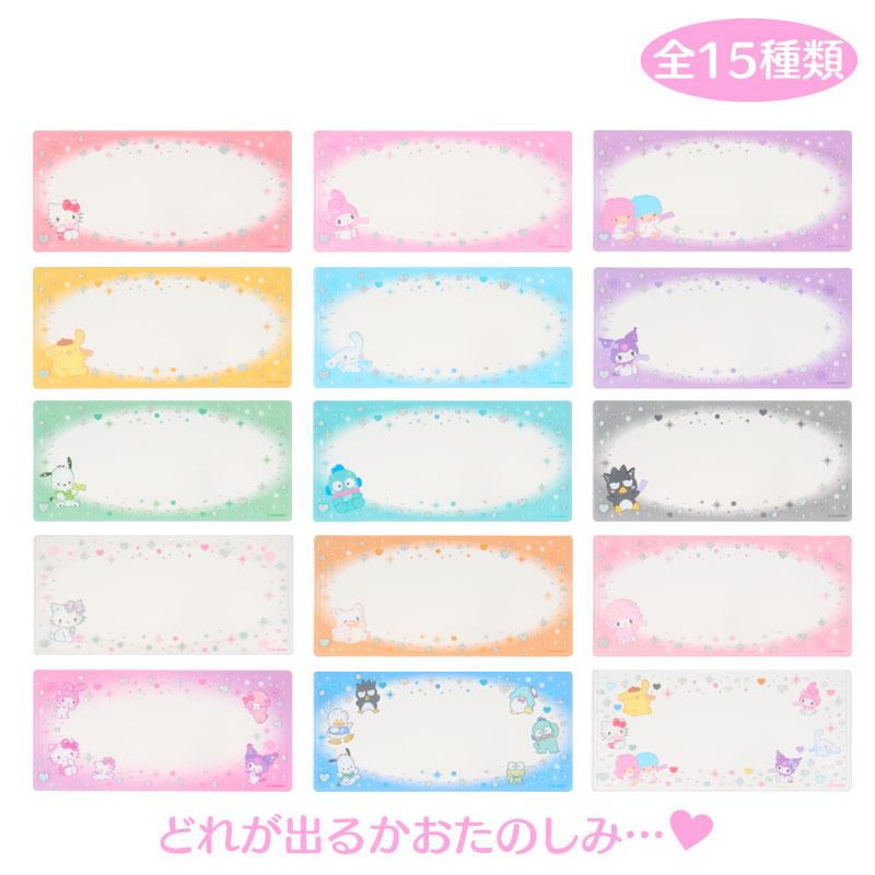 Sanrio Characters Enjoy Idol Hard Ticket Case Blind Bag