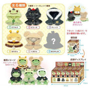 Pickles the Frog Poncho Plush Mascot Blind Box