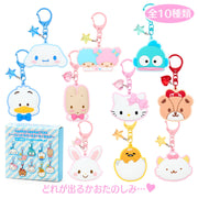 Sanro Character Grand Prize 1st Edition Mirror Keychain Blind Box [Blue]