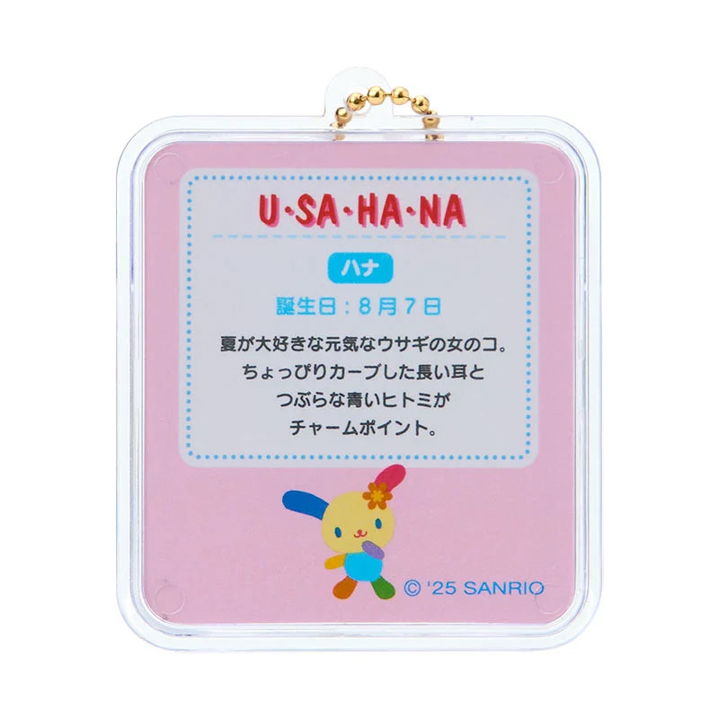 Usahana Miniature Package Keychain